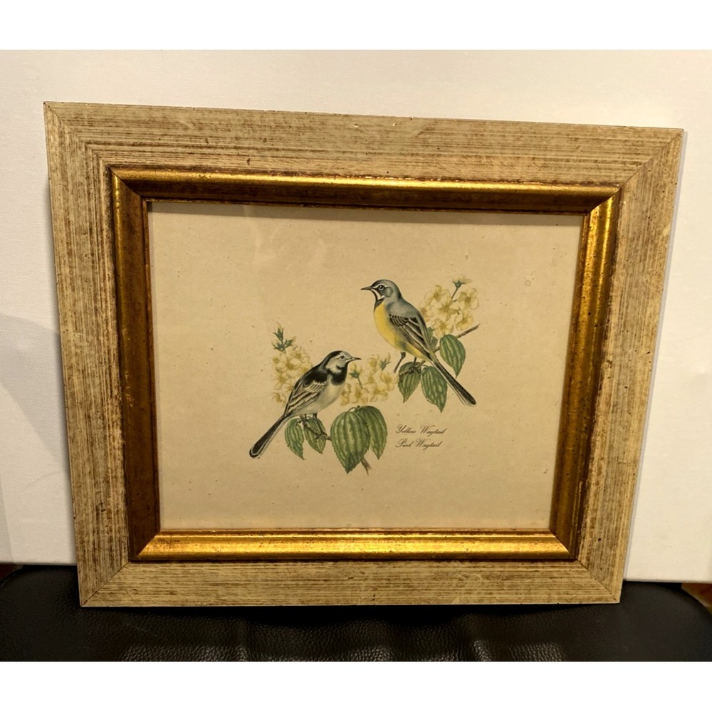 Vtg Birds Print 14 x 12 MCM Framed Print Gallery Wall Retro Frame Gold Accent